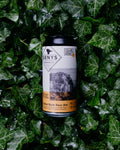 6 vnt. pakuotė Italian Style Sour Ale