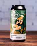 12 vnt. pakuotė Kombucha Mango Passion