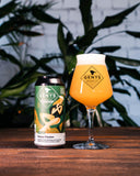 12 vnt. pakuotė Kombucha Mango Passion