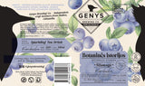 12 vnt. pakuotė Kombucha Botaninės istorijos - Šilauogė