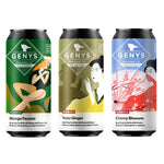 12 vnt. rinkinys Non Alco Kombucha